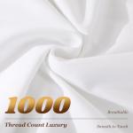Queen Size 100% Egyptian Cotton Sheets Set
