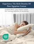 Ivory 100% Egyptian Cotton Queen Bed Sheet Set
