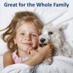 1800 Thread Count Egyptian Cotton Bamboo Soft Sheets