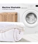 All-Season Egyptian Cotton Silk Comforter Queen