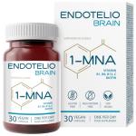 Endotelio Brain Supplement for Memory and Focus