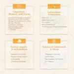 34-in-1 Brain Supplement for Focus and Clarity