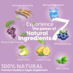 Brain Focus Supplement with Ashwagandha & B Vitamins