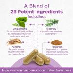 Memory Boosting Focus Supplement with Ginkgo Biloba
