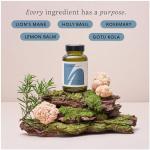 Vegan Lion's Mane Capsules for Focus & Clarity