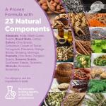 Memory Boosting Focus Supplement with Ginkgo Biloba