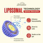 Liposomal Nootropic Brain Supplement for Memory & Focus