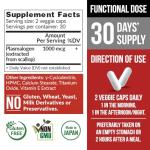 NeuroREGAIN: Scallop Plasmalogen for Cognitive Boost