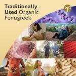 Organic Fenugreek Capsules - 240 Count, 2250mg