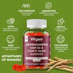 Vitgem KSM-66 Ashwagandha & Lions Mane Gummies