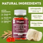 Vitgem KSM-66 Ashwagandha & Lions Mane Gummies