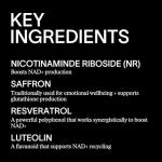 ARTA H Enhanced NAD+ Complex for Focus and Longevity