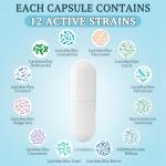 300 Billion CFU Probiotics for Gut & Immune Health