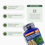 Ginkgo Biloba & Siberian Ginseng Energy Boost Tablets
