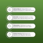 Ginkgo Biloba & Siberian Ginseng Energy Boost Tablets