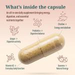 Clever Probiotic for Energy and Digestive Support