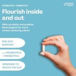 Hybrid Health Probiotics & Prebiotics 120 Veggie Caps