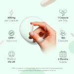 NAC N-Acetyl-Cysteine 600mg Vegan Capsules