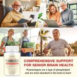 Liposomal Brain Supplement for Cognitive Support