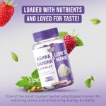 Lionemane and Ashwagandha Gummies for Brain Support