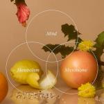 Wild Nutrition Food-Grown® Weight Management Support 90 Caps