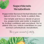 Twinings Metabolism Boosting Herbal Tea - Peppermint & Spiced Green