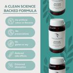 Vegan Spermidine Supplements for Cellular Health 60 Caps