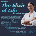 High Strength Taurine Supplement for Energy & Recovery