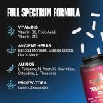 Tiger Mind Rush Nootropic Brain Supplement for Focus