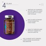 N°4 Focus - Brain Support Supplement with Nootropics