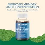 Lion’s Mane Gummies 2000mg for Focus & Memory