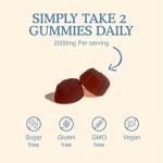 Lion’s Mane Gummies 2000mg for Focus & Memory