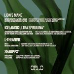 Orlo Focus & Memory Gummies for Adults