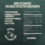 Orlo Focus & Memory Gummies for Adults