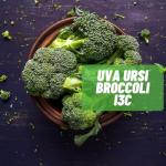 Estro-Halt: Natural Estrogen Balance Support Supplement