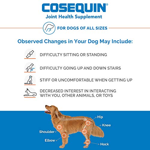 Cosequin DS Chewable Joint Supplement for Dogs