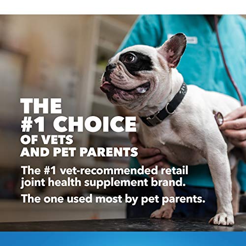 Cosequin DS Chewable Joint Supplement for Dogs