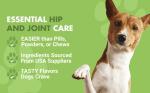 K9 Hip & Joint Health Chews - Pot Roast Flavor