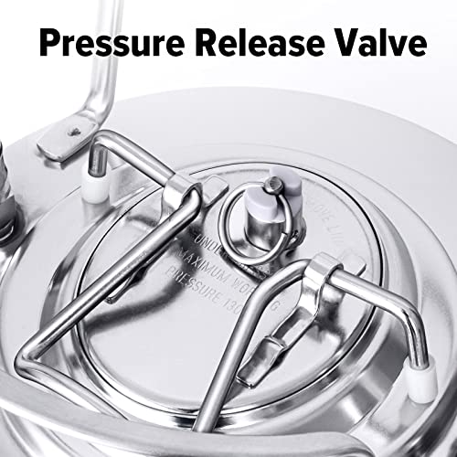 2.6 Gallon Stainless Steel Mini Ball Lock Keg