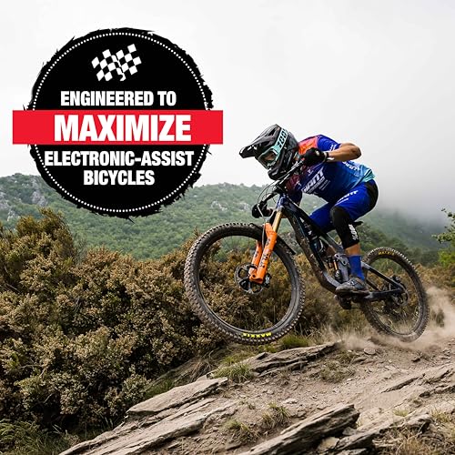 Finish Line E-Bike Chain Lubricant, 4 oz