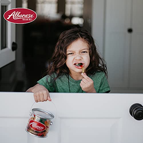 Assorted Fruit Gummi Worms, 5lbs - Albanese's Finest!