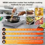 VBGK 1800W Single Burner Induction Cooktop