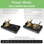 Struics Double Induction Cooktop with Touch Control