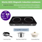 Struics Double Induction Cooktop with Touch Control