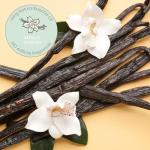 Moodie Vanilla Scented Disposable Diaper Bags Combo