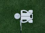 TaylorMade Spider Ghost White Slant Putter