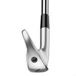 TaylorMade P790 Single Iron - Custom Graphite