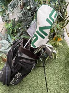 11-Piece Golf Club Set with Woods, Irons, Putter