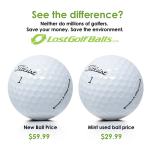 Kirkland Signature AAAAA Quality Golf Balls