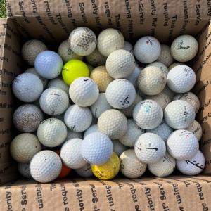 100 Assorted Shag Golf Balls for Practice